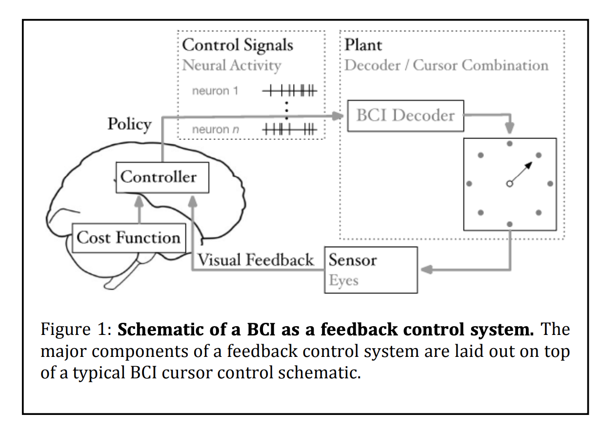 bci schematic